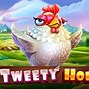 The Tweety House Slot Hari Ini Live Draw Miami Pools